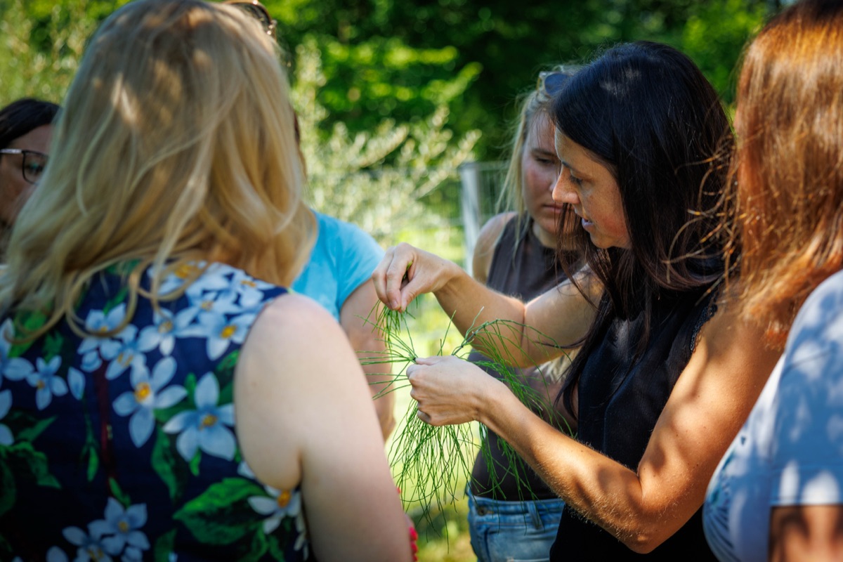 Sarah Sager zeigt einer Workshop-Gruppe frisch gesammelte Kräuter